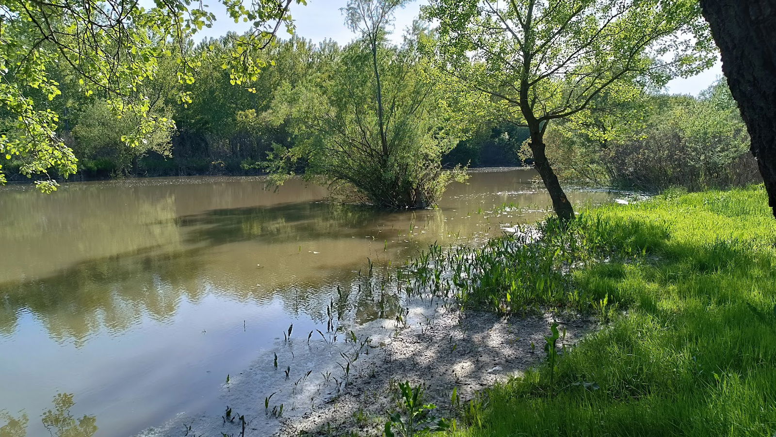 Плажа Подолина