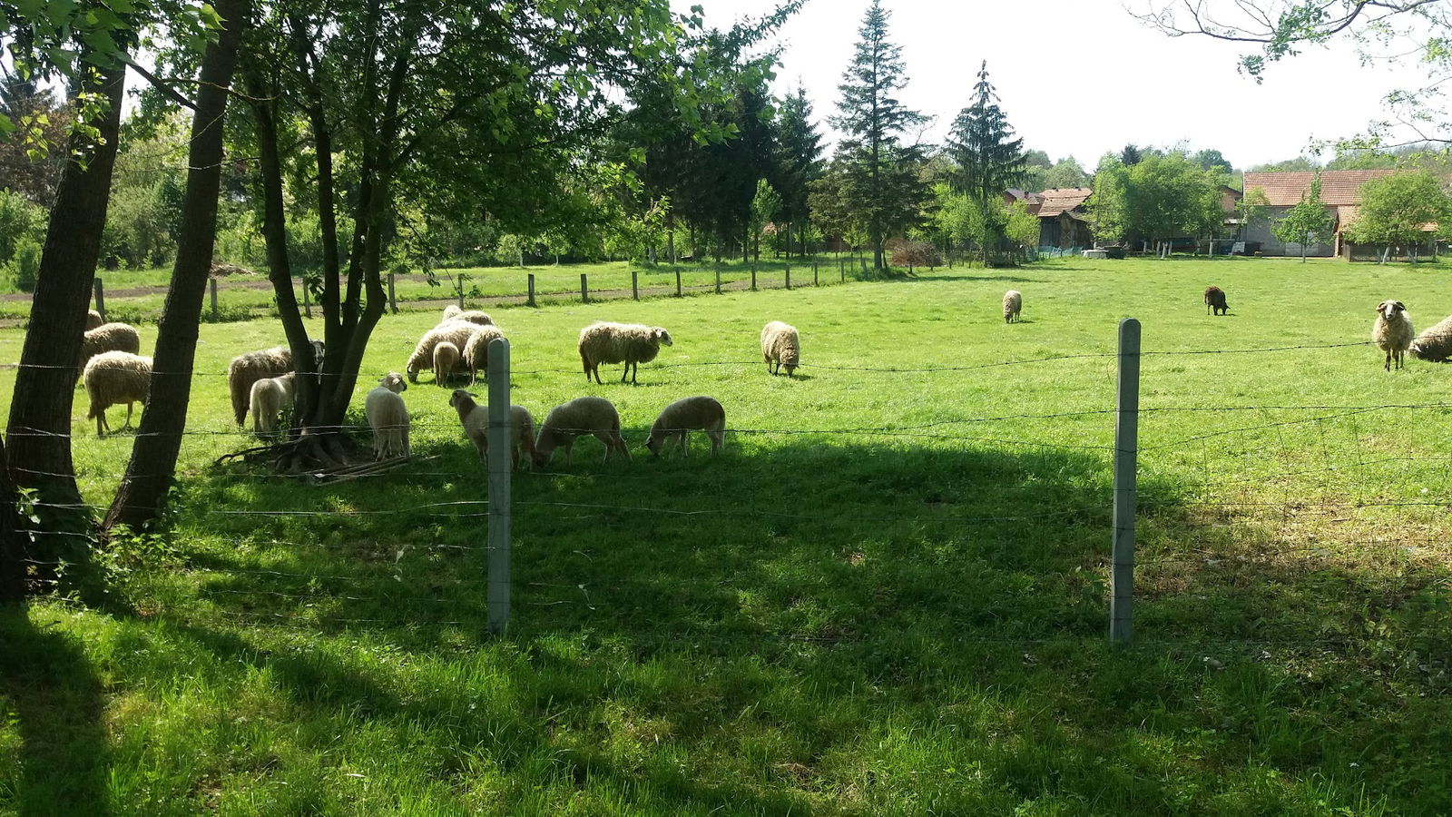 OBRT ZA PROIZVODNJU PEKARSKIH PROIZVODA PEKARA TKALČIĆ - IVAN TKALČIĆ