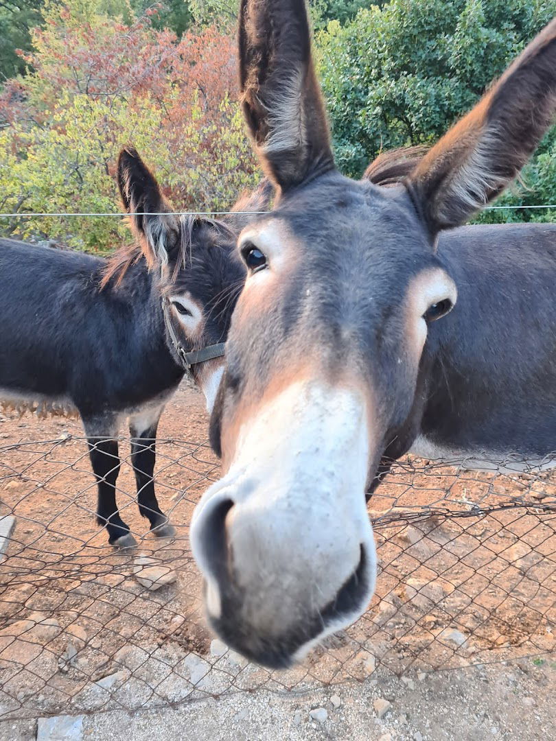 Parking beach Stara Porozina