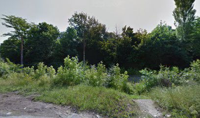 Park prirode Šapićevo jezero.