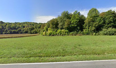 Vilić Selo cemetery