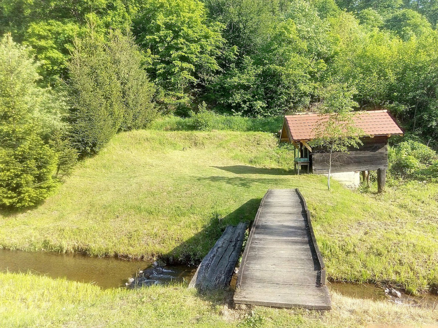 Vodenica (Water mill)