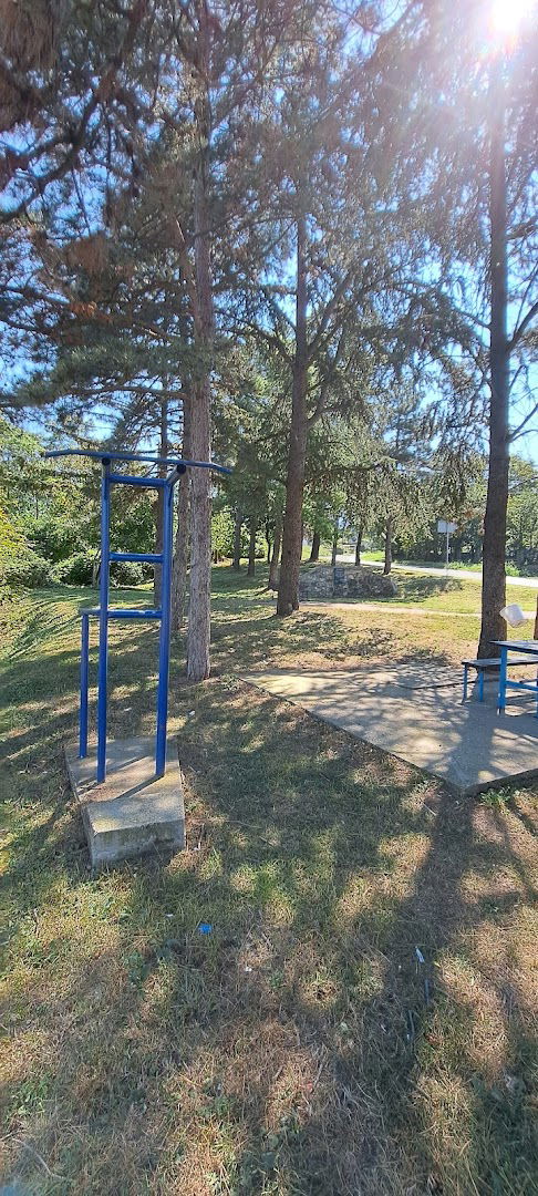 Spomenik "Ostružničkoj skupštini"