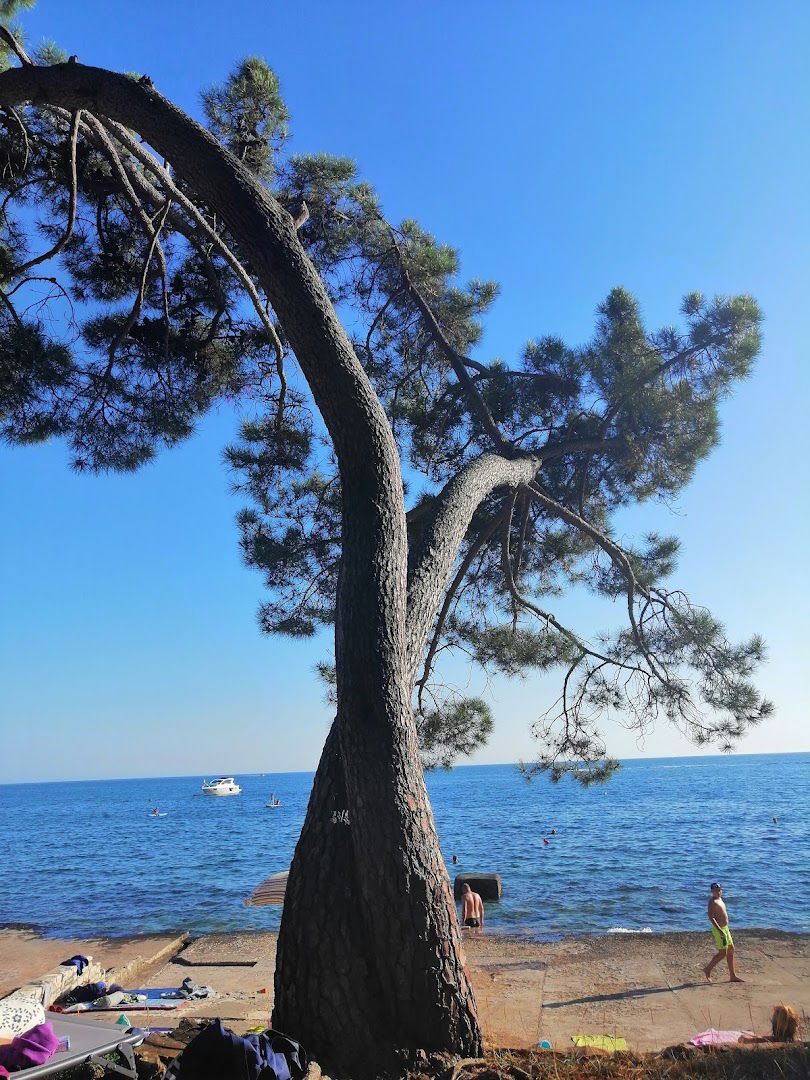 Camp Kastanija - beach