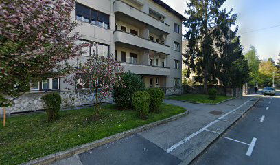 Fine Ljubljana Apartments - Levstikova