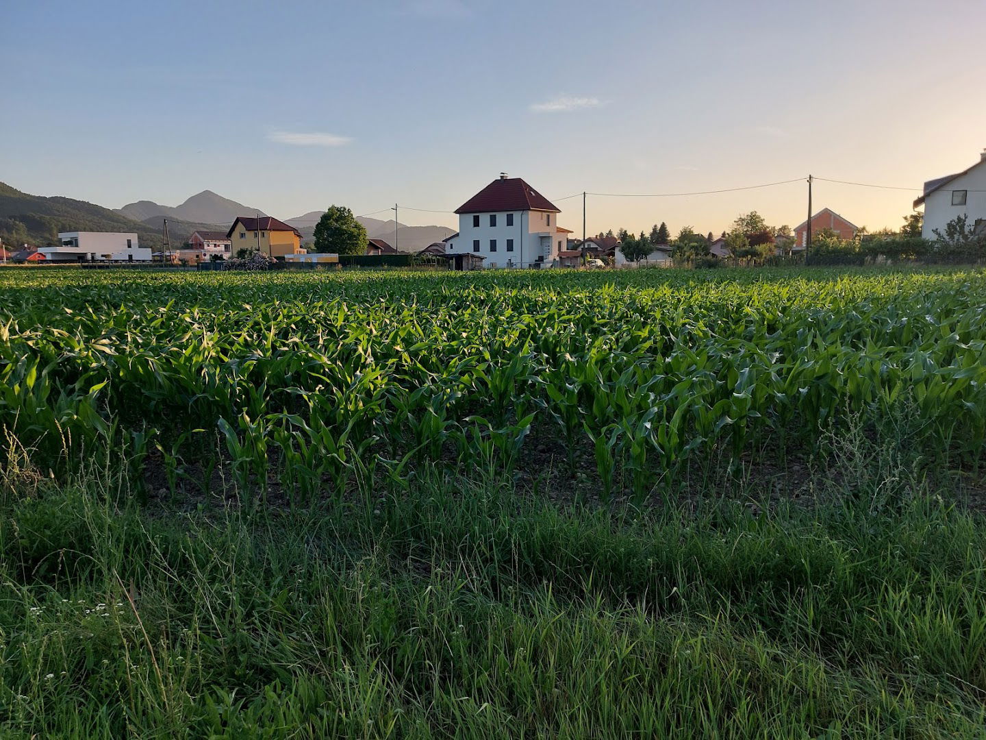 Alternativno zdravljenje Breda Dobnik s.p.