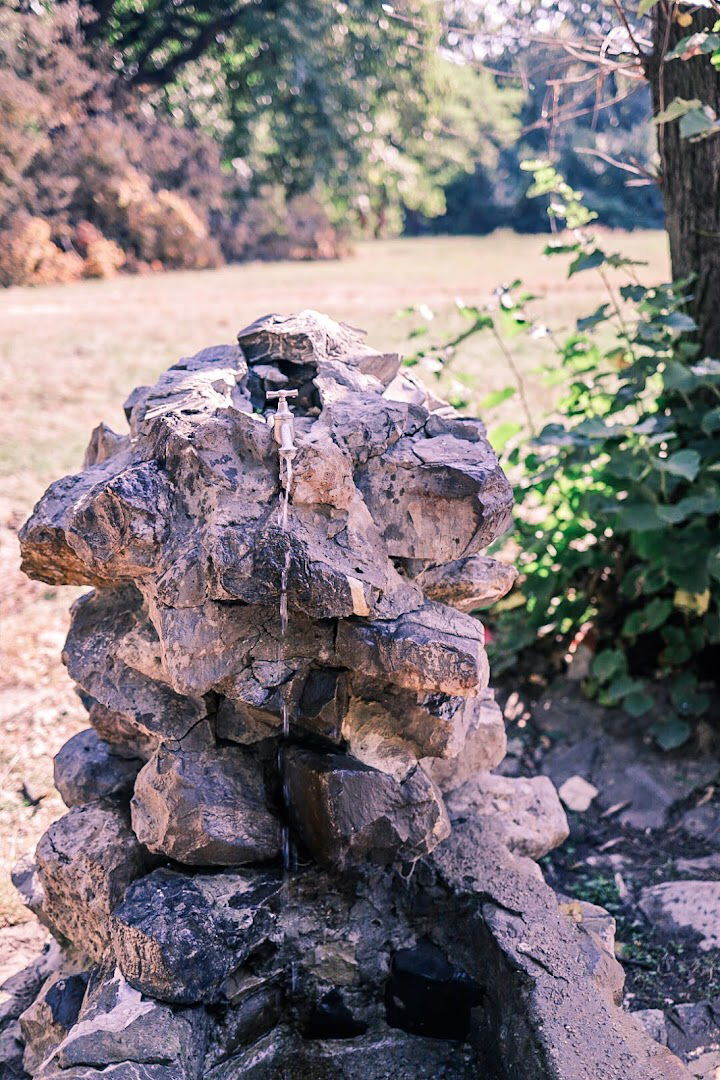 Kamena česma na livadi