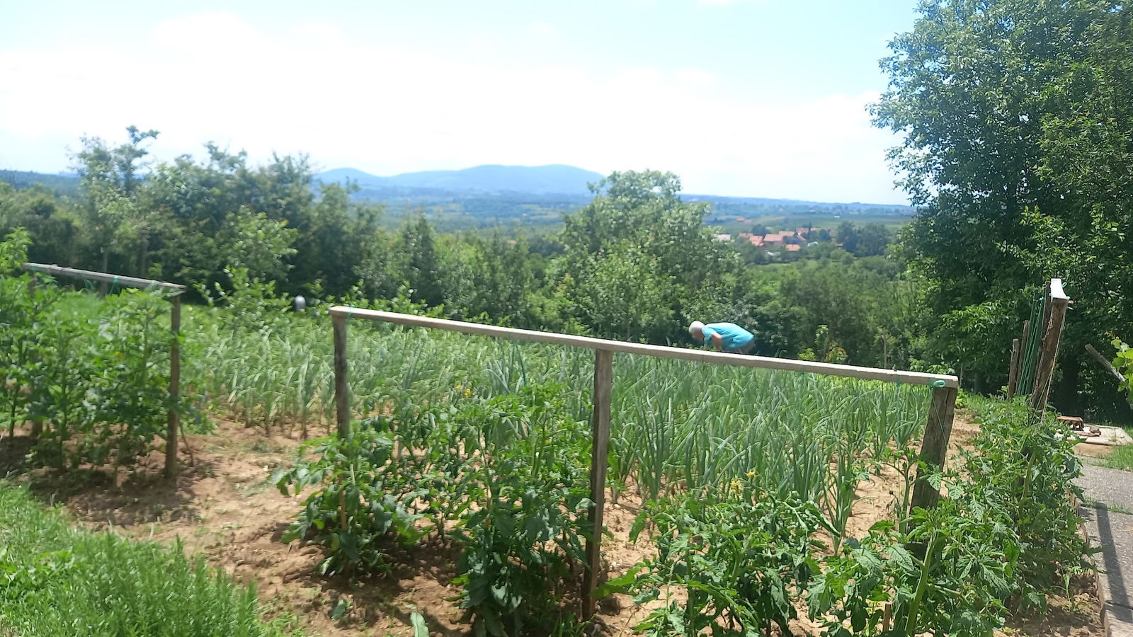 Поповић, Србија