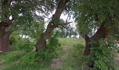 Porodica Milosavljević