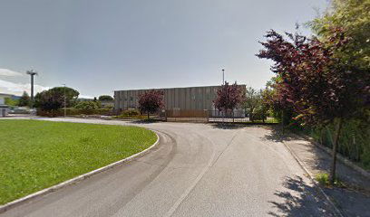 GORIZIA Via del San Michele 326/C (zona ind.)