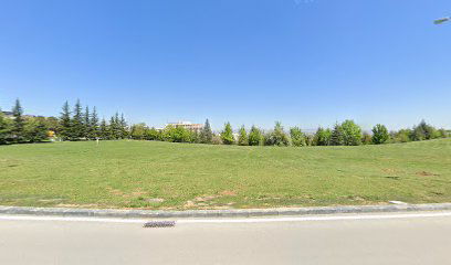 Bilkent University Main Campus Grass Field