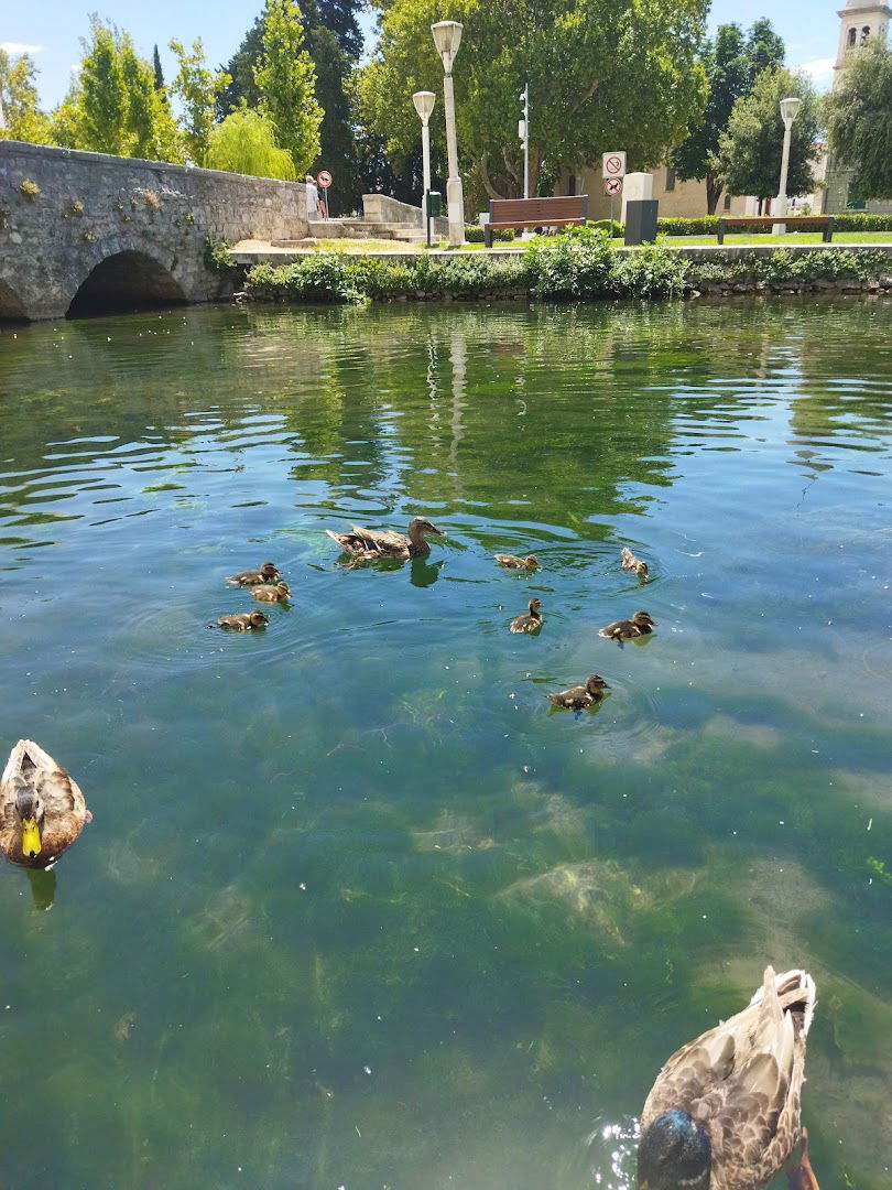 Solin, gradsko središte