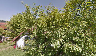 Avto Erni avtokleparstvo in druge storitve Amadej Ajdnik s.p.