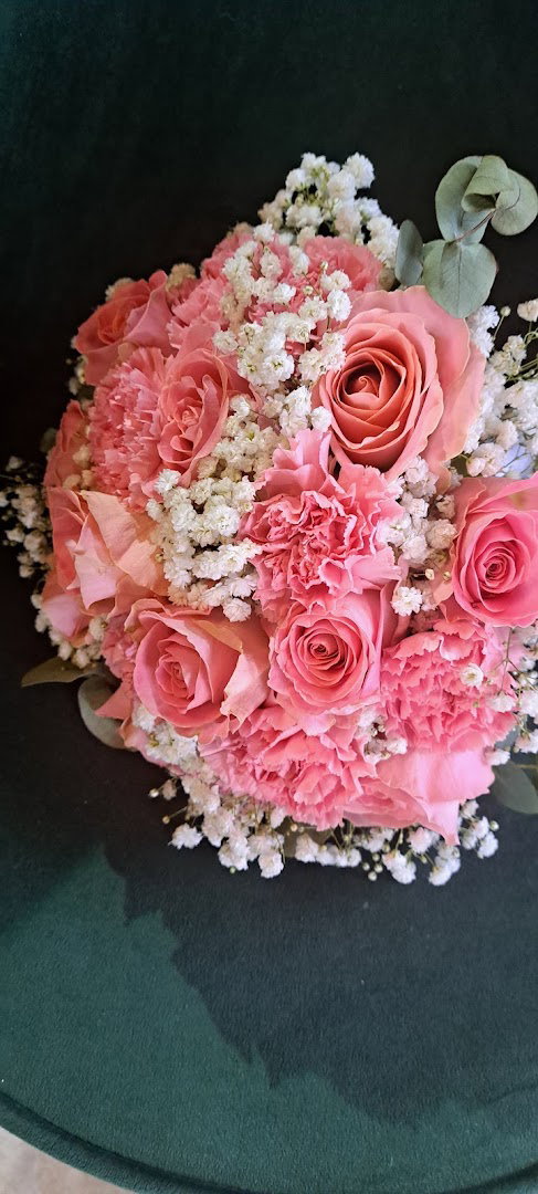 Cvjećarnica Anthurium