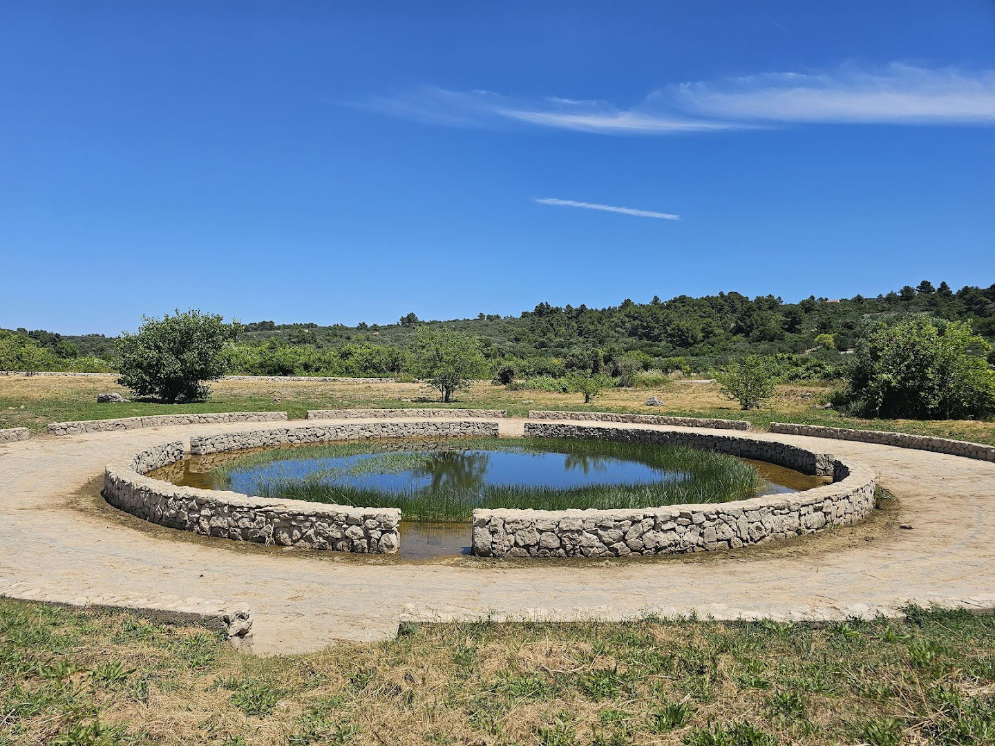 Roman Water Hole
