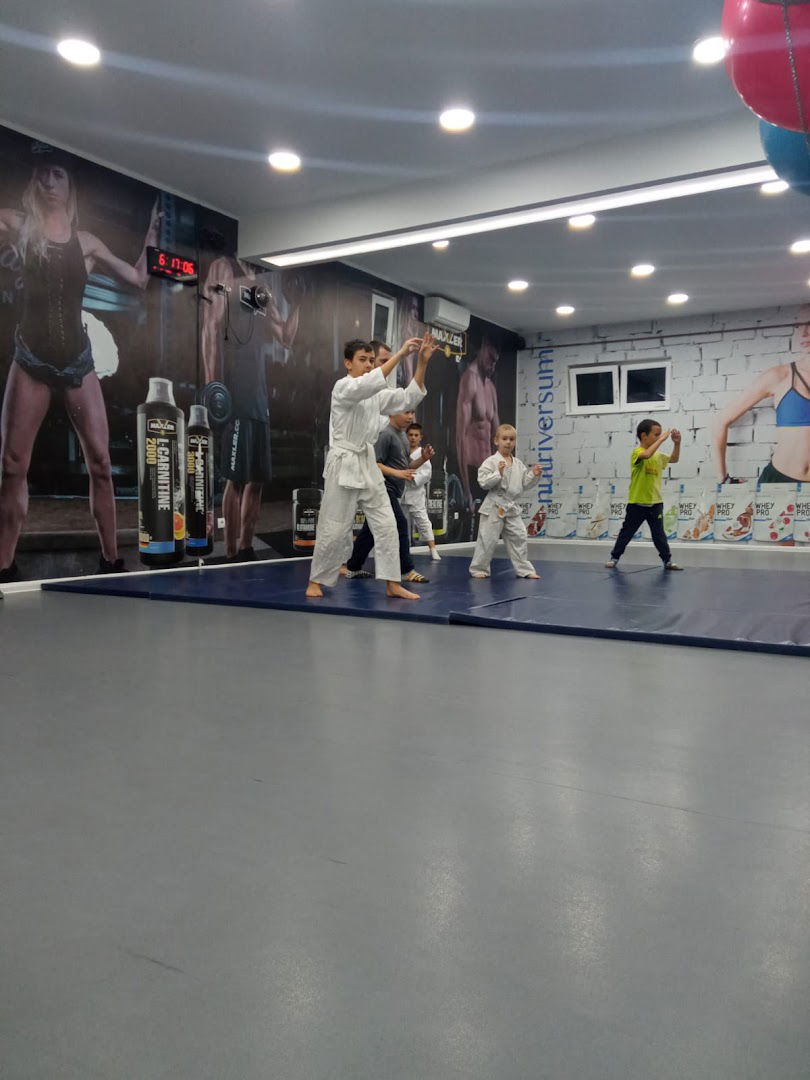 Centar Realnog Aikidoa Vokić - STP