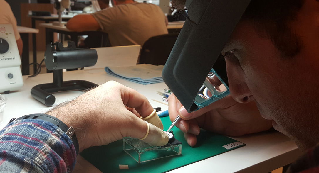 Seiko servis Vitanov