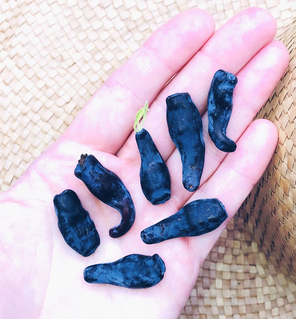 OPG Eko Haskap Marica Hlevnjak