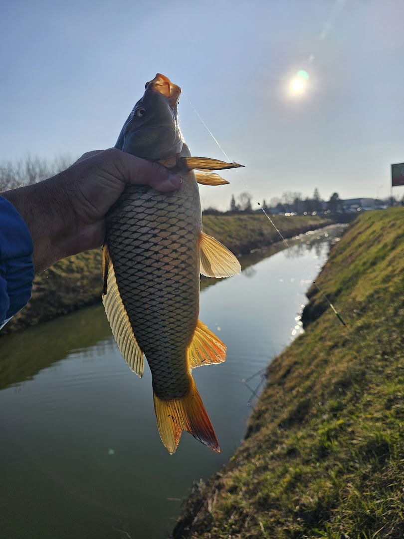 Moje mesto za pecanje