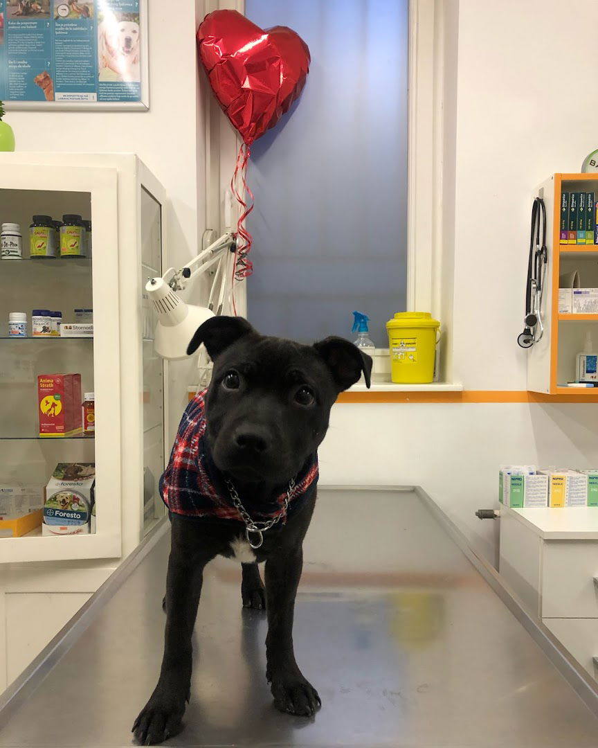 VETERINARSKA AMBULANTA "DUNJA"