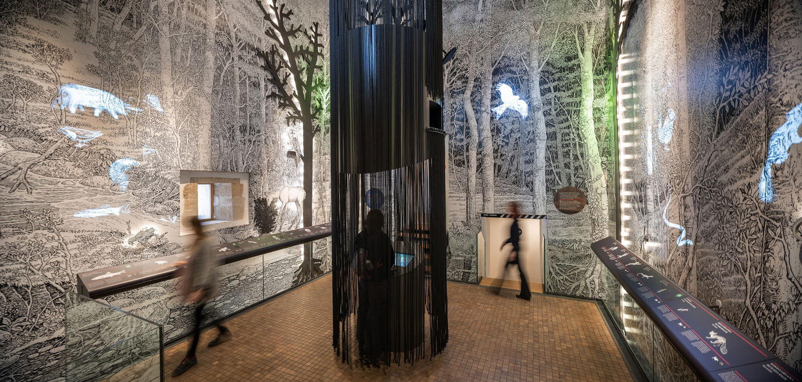 Muses Ltd. / Muses Ltd.