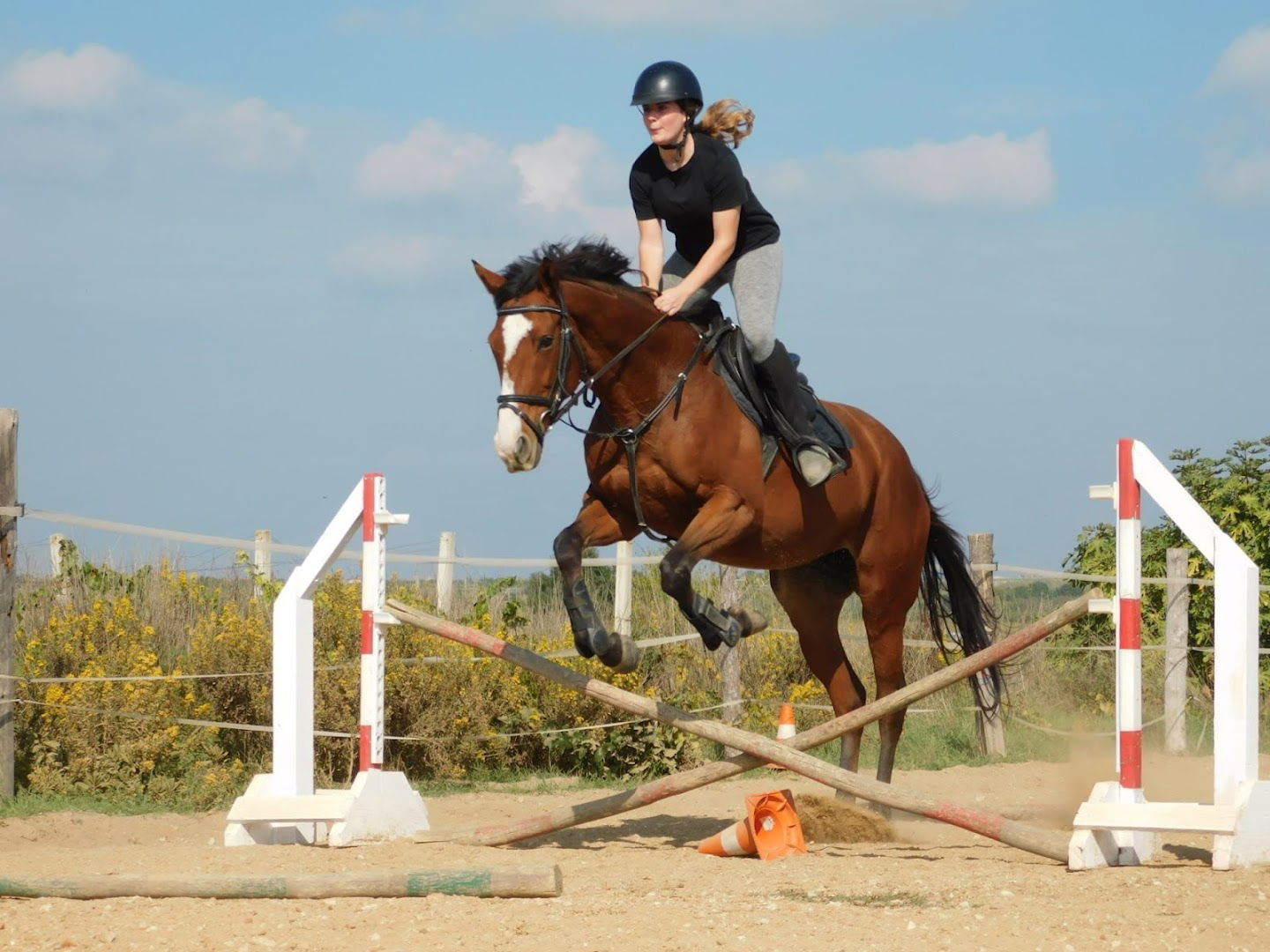 Konjički klub Sv.Krševan