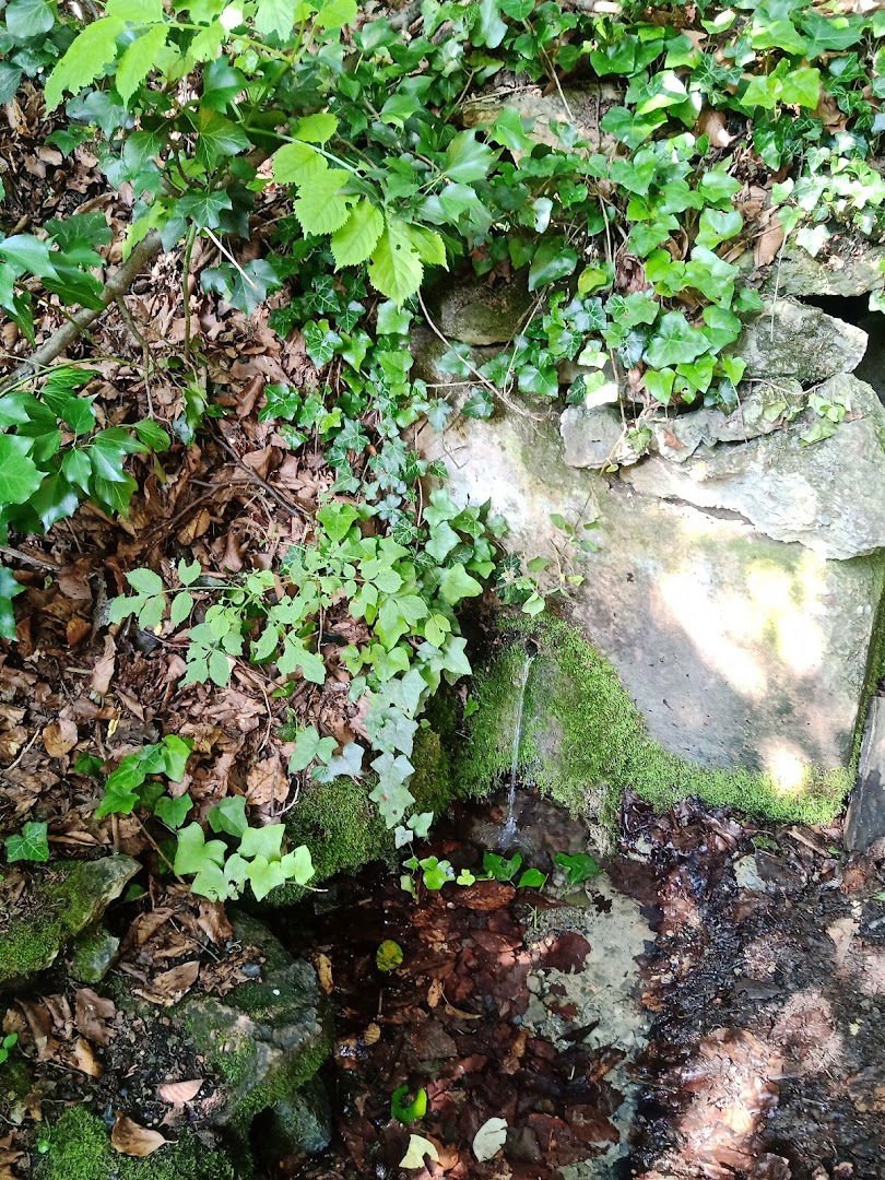 Zdenčec izvor pitke vode