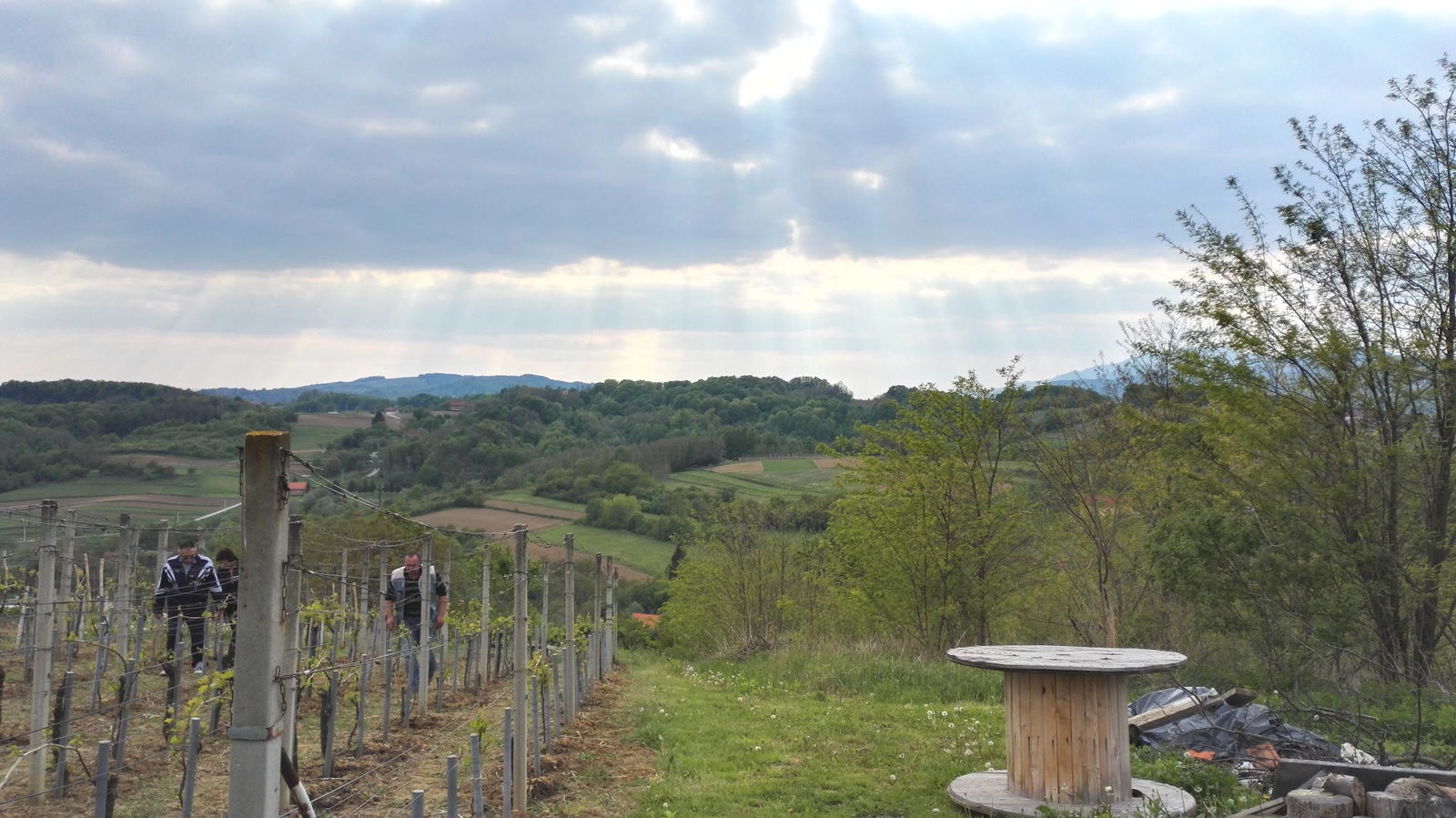 Novi Marof Antona Mihanoviča