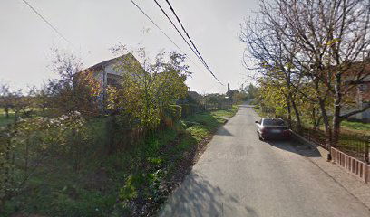 Nedeljkovic Transport D.O.O