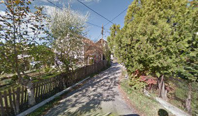 Ауто лимар-фарбар Дамир