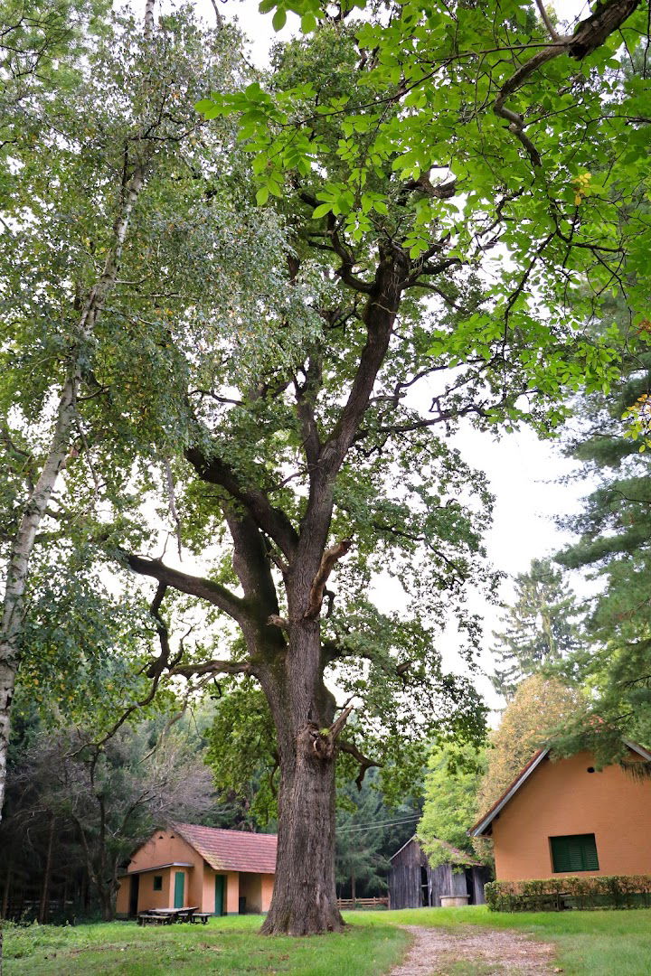 Lugarnica u Križančiji