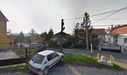 Vladimira Rajkovića Boleč