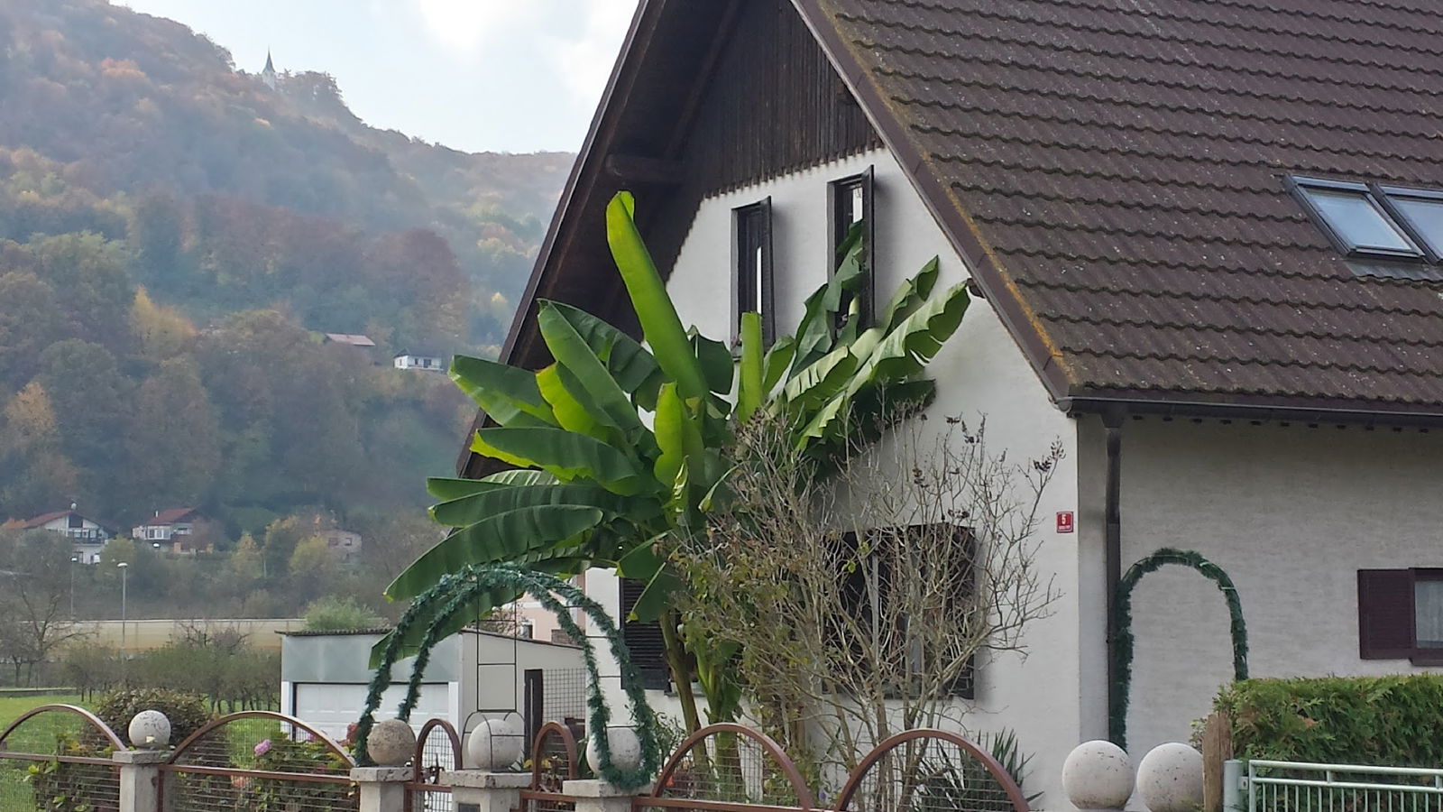 OBZORJE - Novo naselje hiš Čatež Brežice