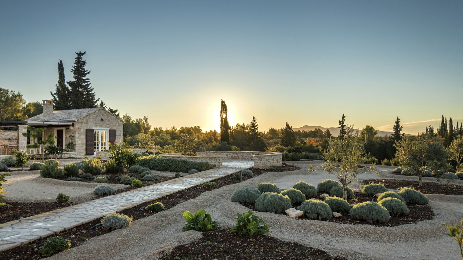 Olive oil tasting Radojkovic