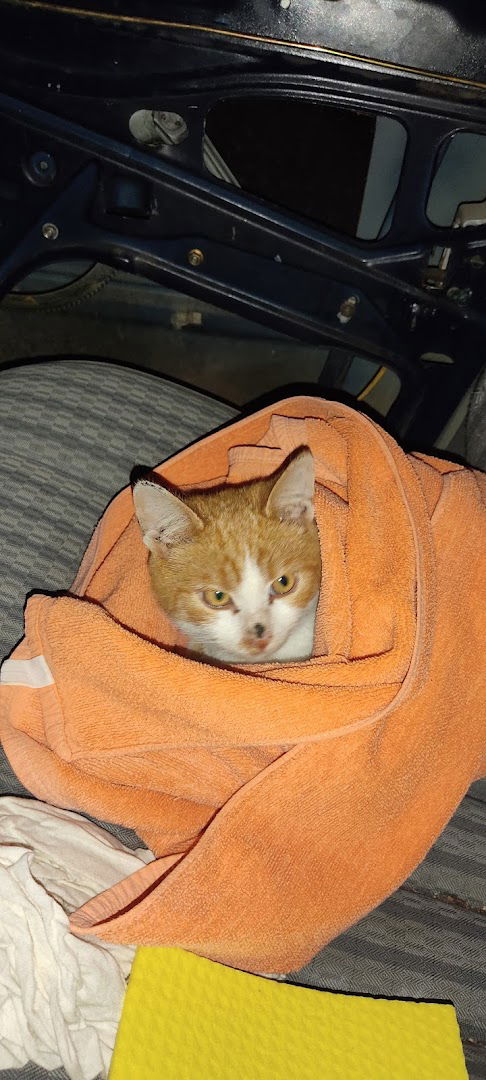 Veterinarska ambulanta Opstanak