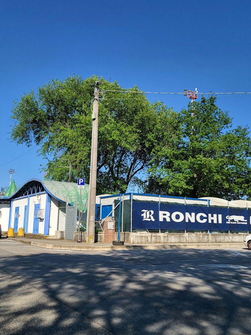 NEW BLACK PANTHERS—RonchiBaseball