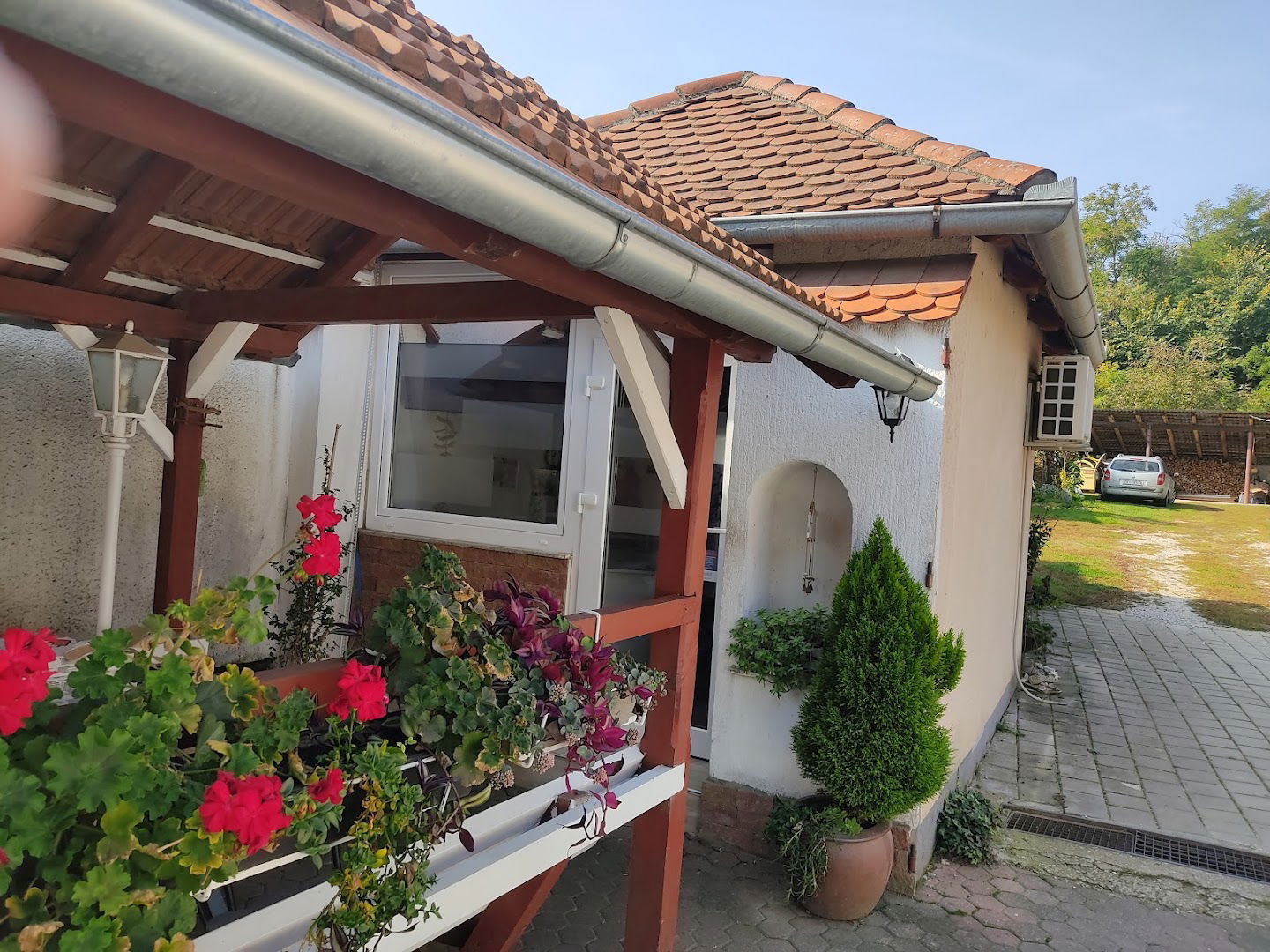 Carpe Diem by Mirela