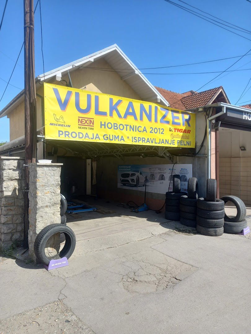 Vulkanizer Hobotnica 2012