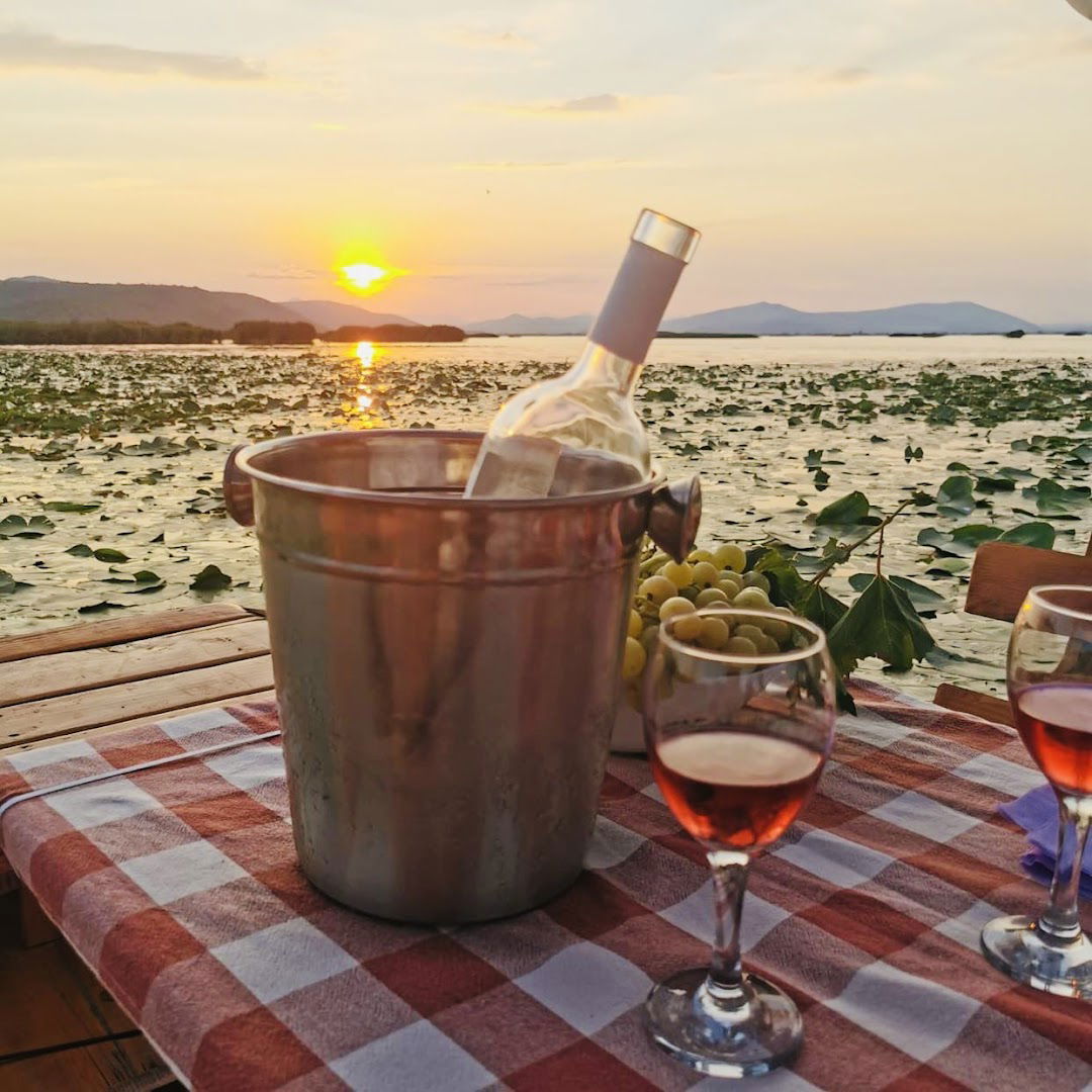 LAKE TOUR SVITAVA - OZ. "PLAVO ZELENA"