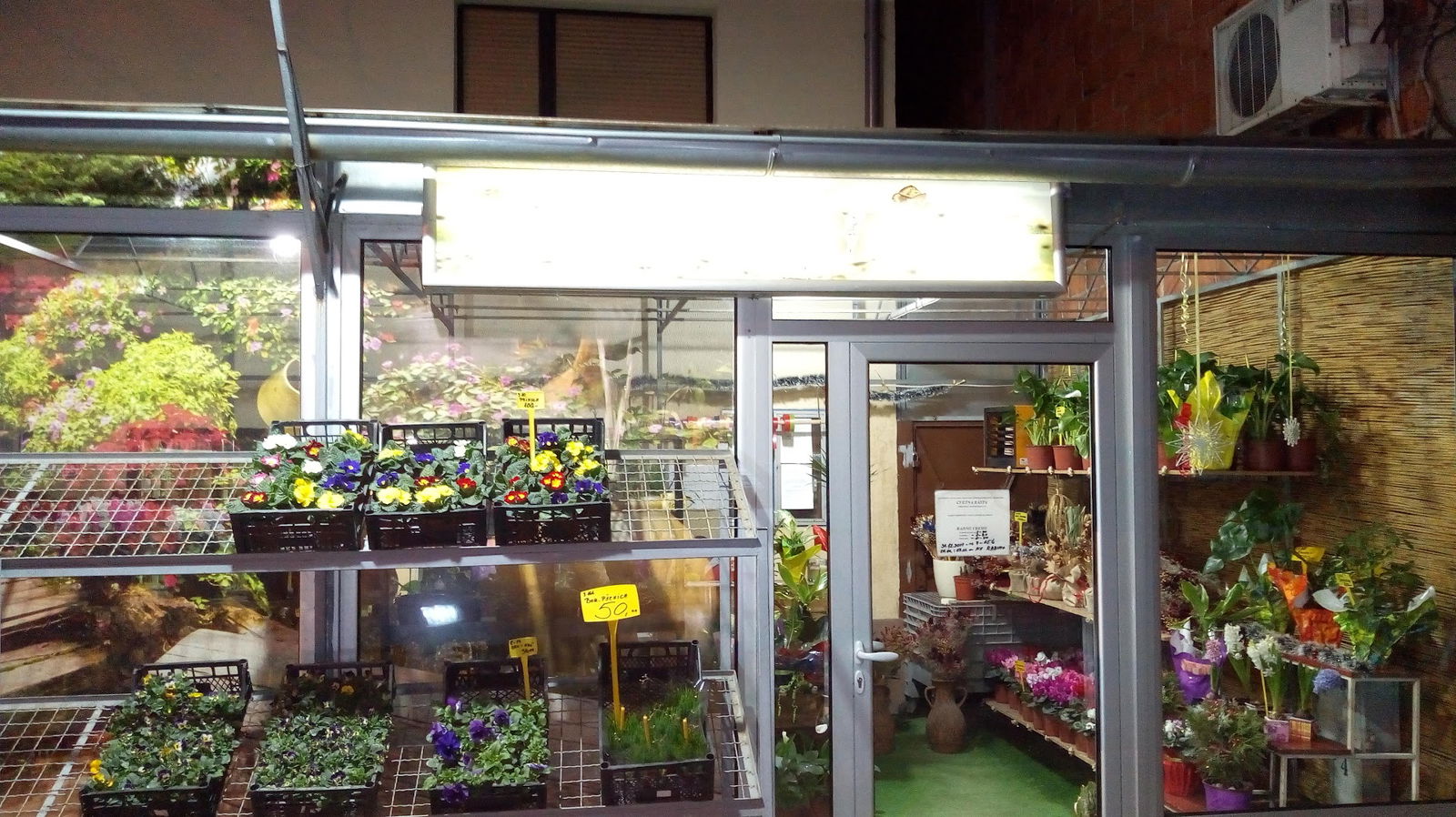 Rasadnik Popović - Cvetna bašta