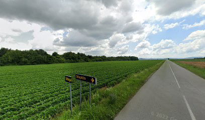 Reciklazmo dvorište vinogradine