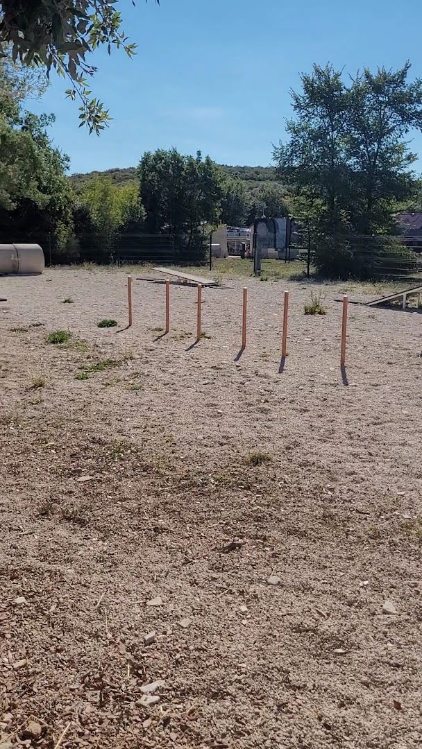 Agility-Parkour Hundespielplatz