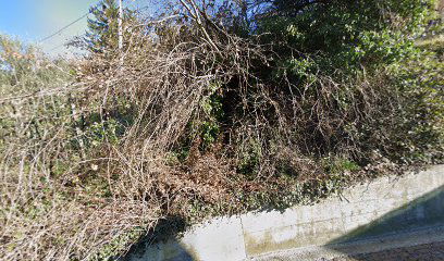 Fontana di acqua potabile