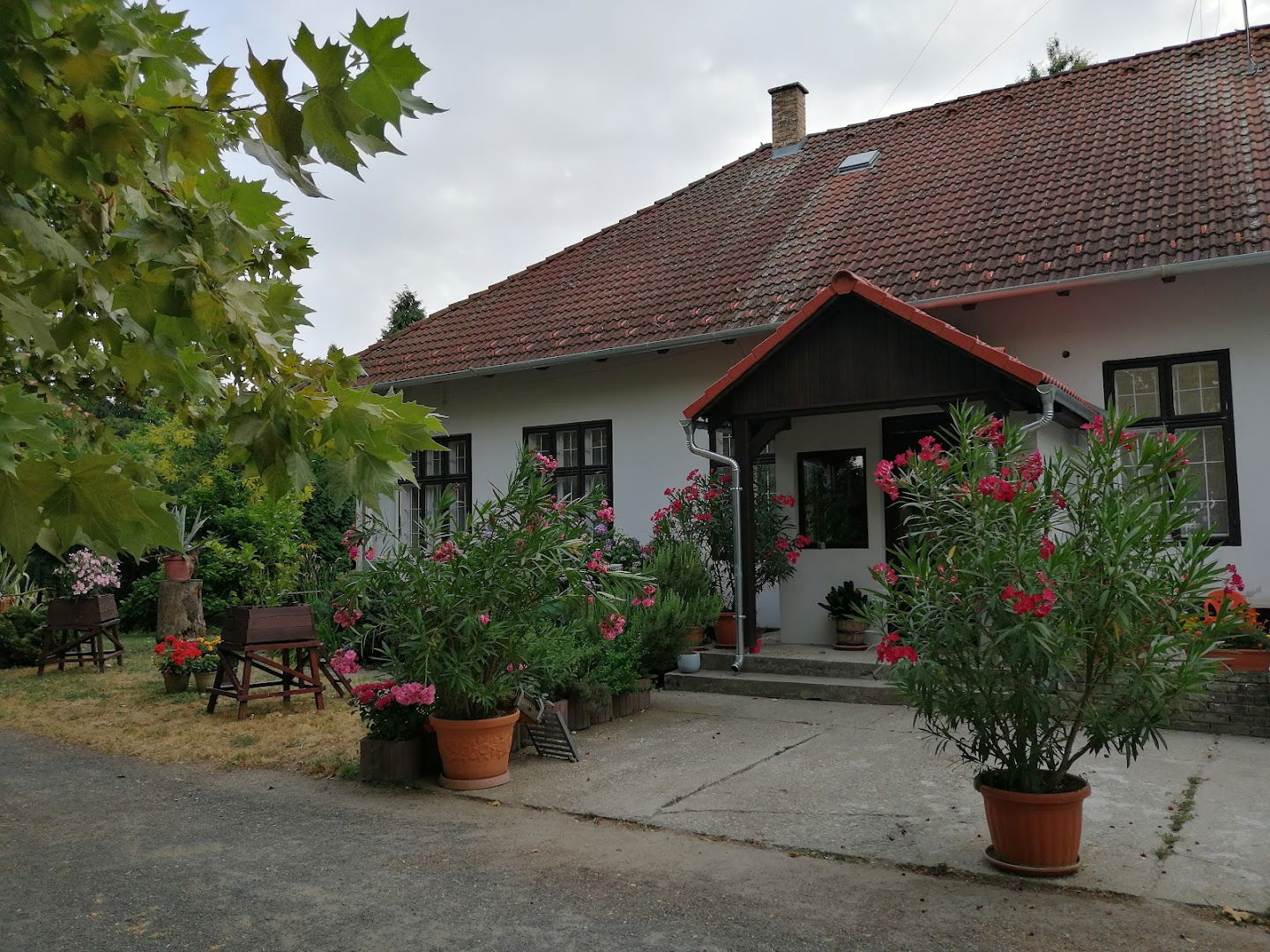 Zsitfai Vadászház Hunting Lodge