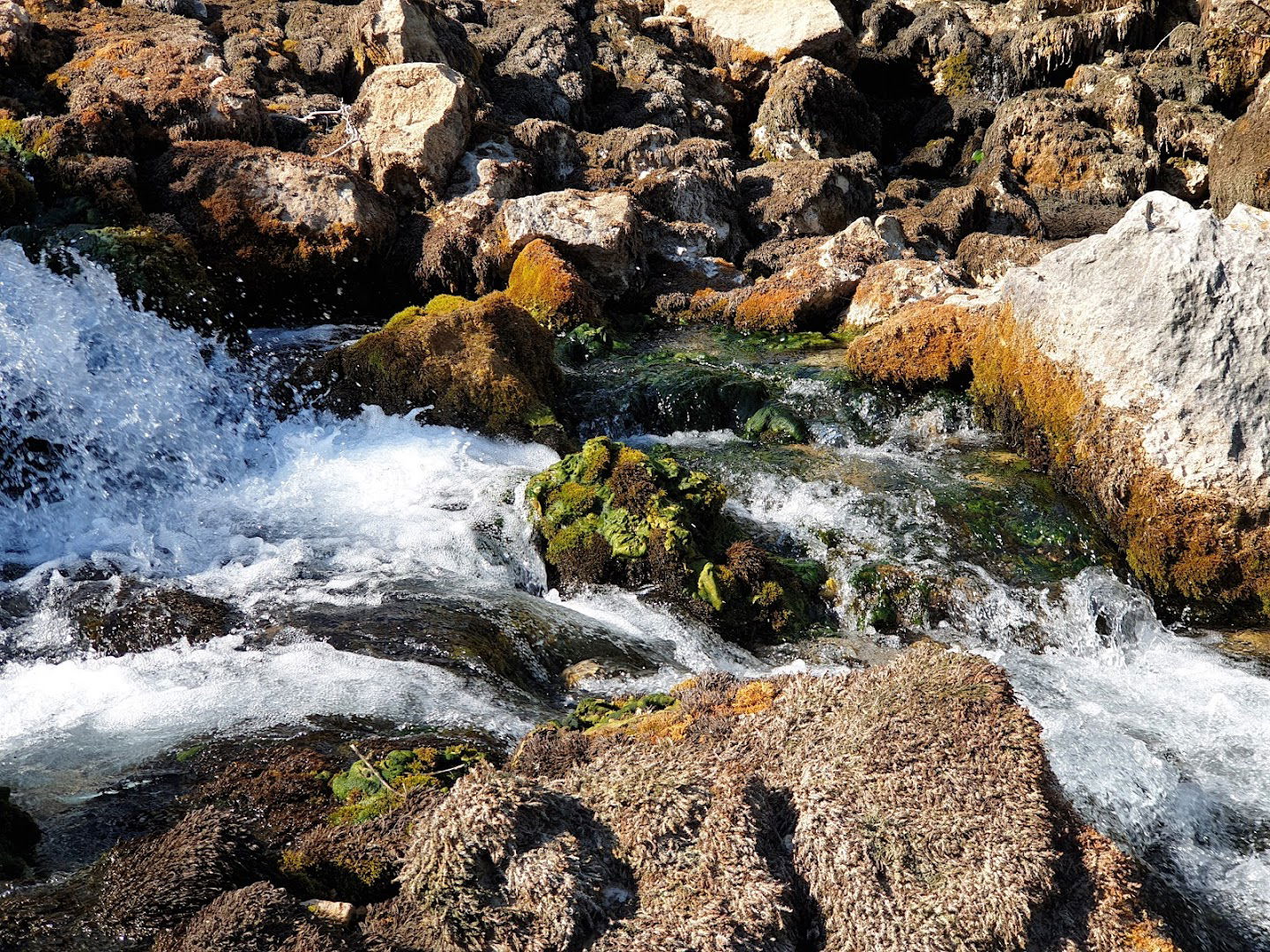 The source of river Krupa