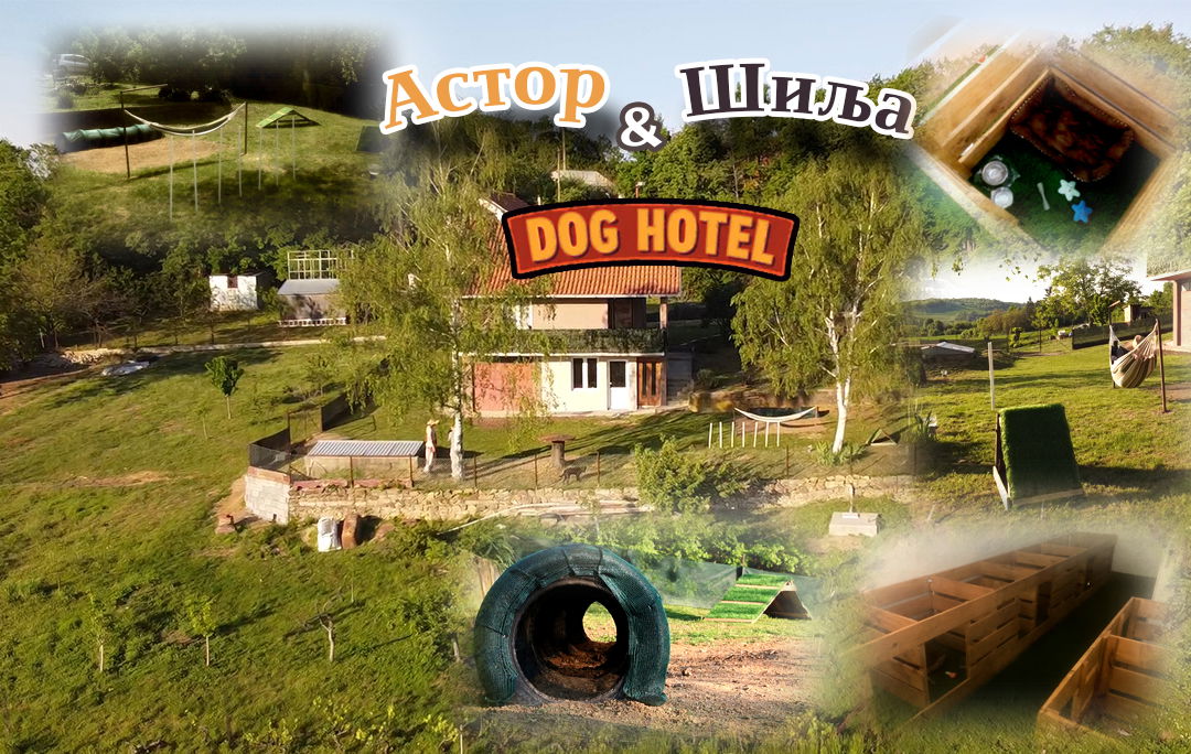 Astor i Šilja Hotel za pse