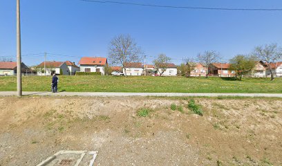 Health Studies -Dislocated study in Pakrac