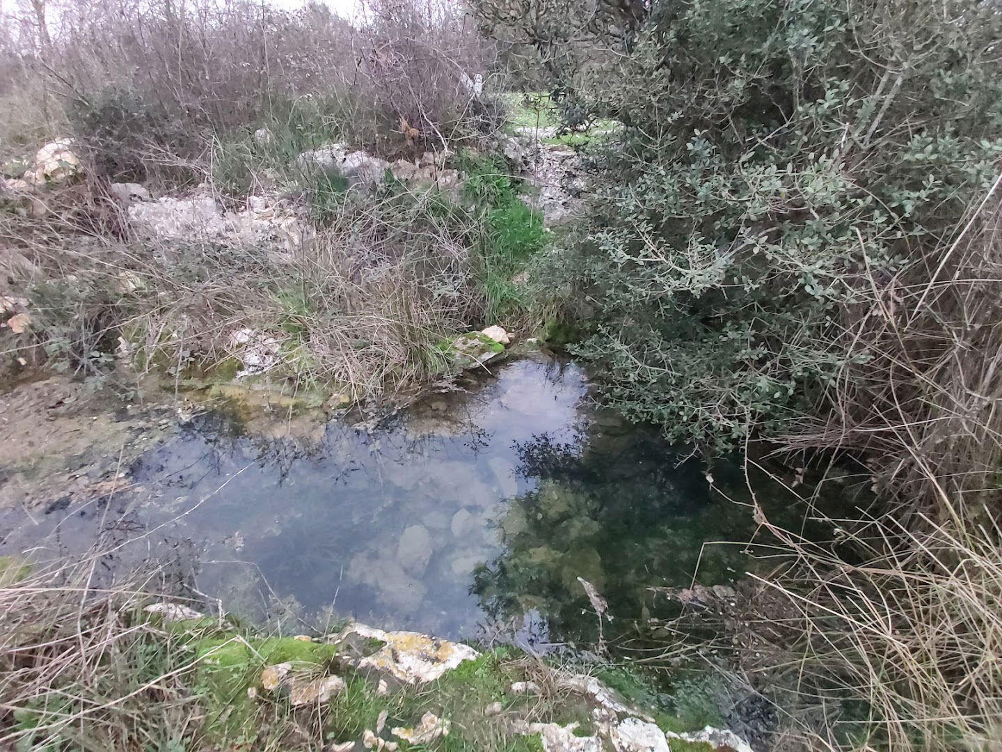 Crno Vrilo Dračevac Ninski