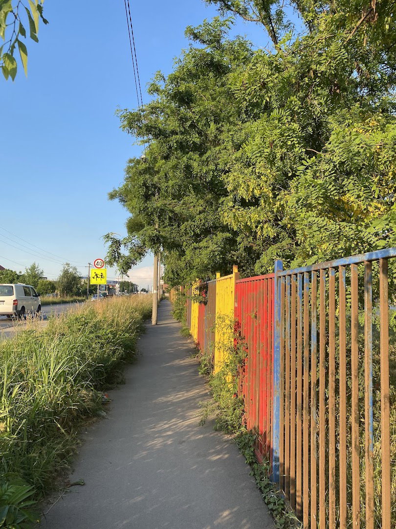 Primary School Vlada Obradović Kameni