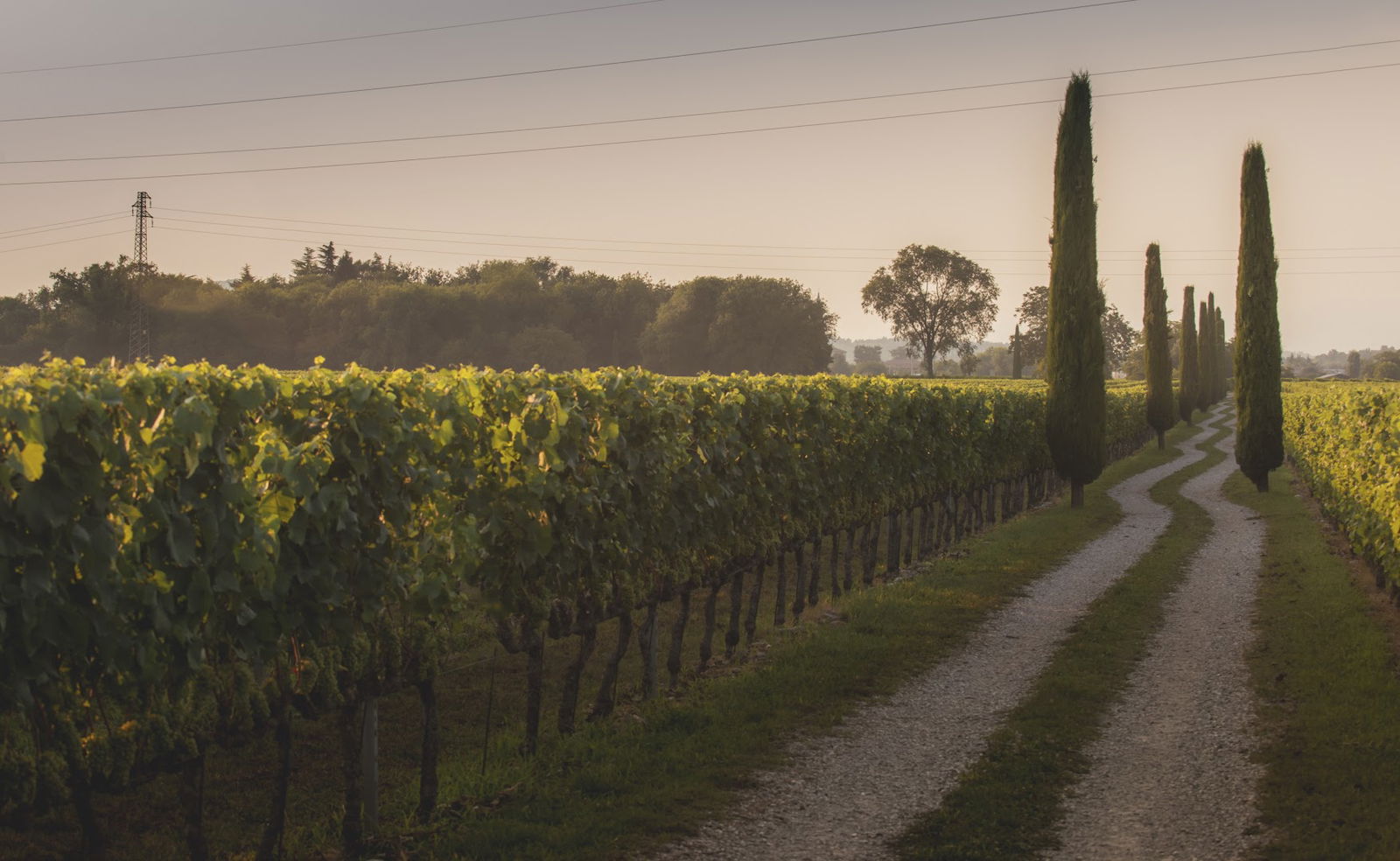 Cantina Jermann - Villanova